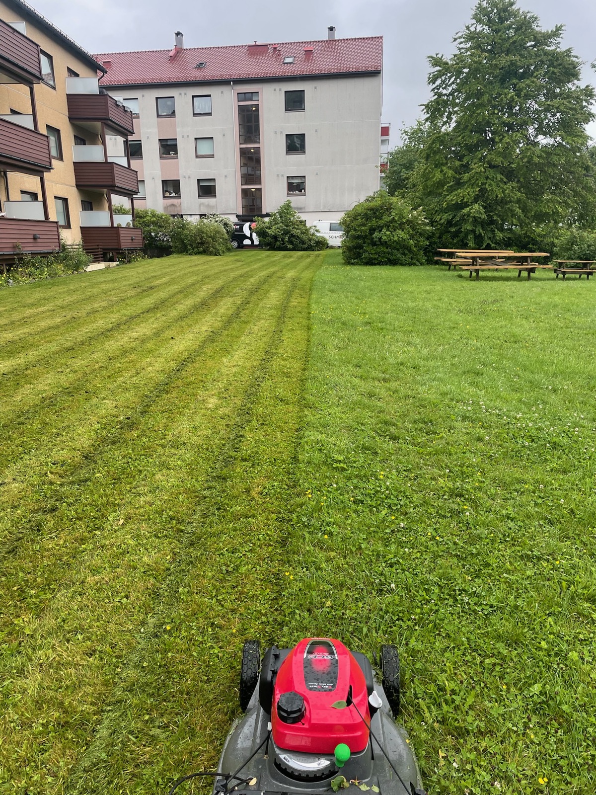 Gressklipping i gang